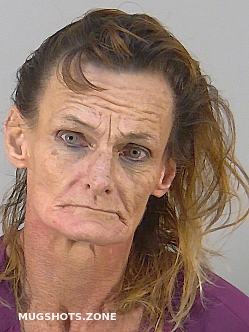 Dawn Welch Lake County Mugshots Zone