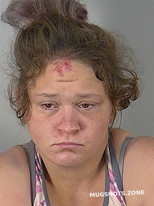 Ryann Ashlee Boocher Lake County Mugshots Zone