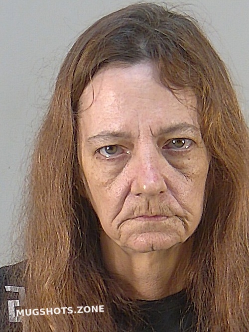 MICHELE LEE LANG 12 14 2023 Lake County Mugshots Zone