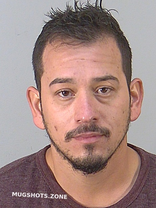 Rene Alejandro Corral Lake County Mugshots Zone