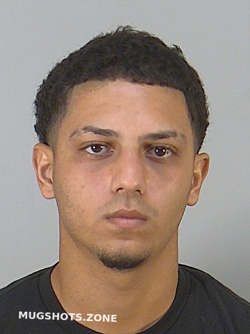 ISMAEL TORRES MARCHANY 03 14 2024 Lake County Mugshots Zone