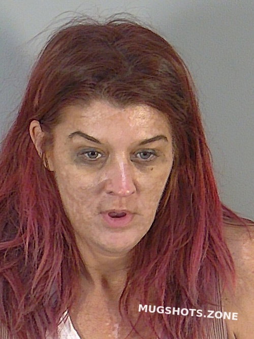 BRENDA LEANNE STILES 06 29 2024 Lake County Mugshots Zone