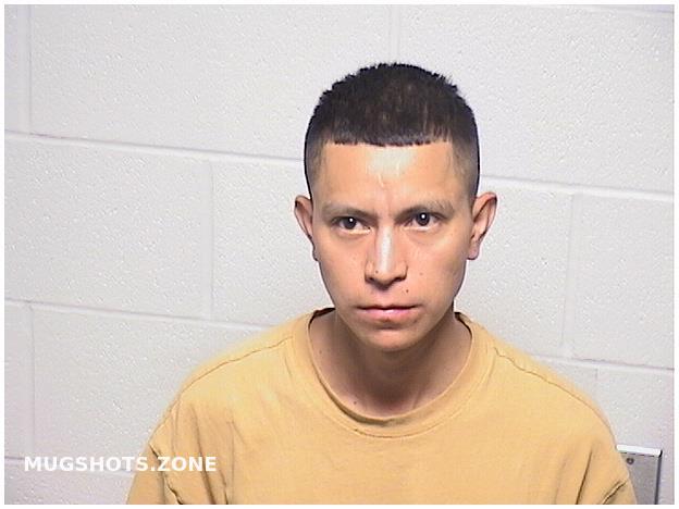 DEMANTIAS SILVA ARMANDO 04 21 2024 Lake County Mugshots Zone