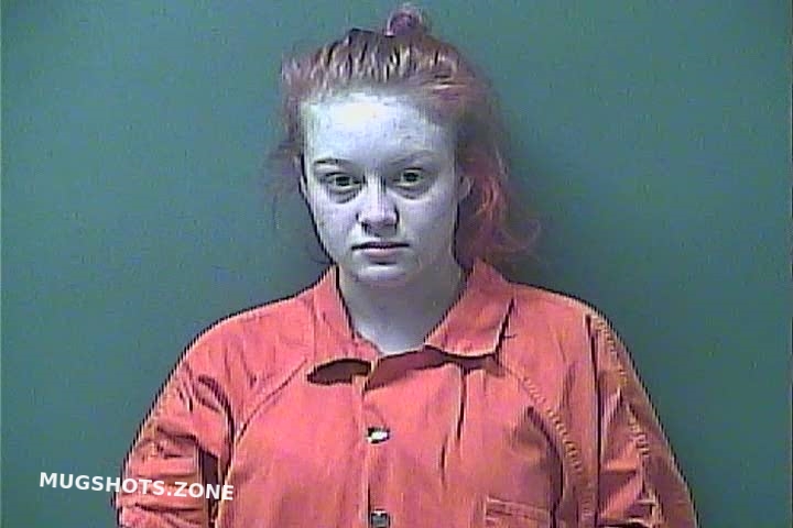 MEYER BRIANNA M 03 17 2021 Laporte County Mugshots Zone