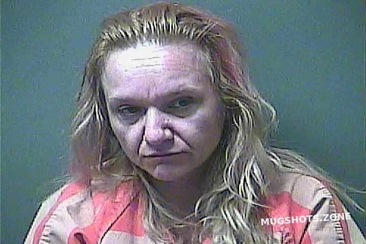 Friday Michele L Laporte County Mugshots Zone