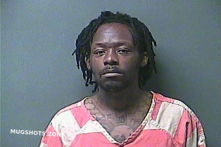 Henderson Briene A Laporte County Mugshots Zone