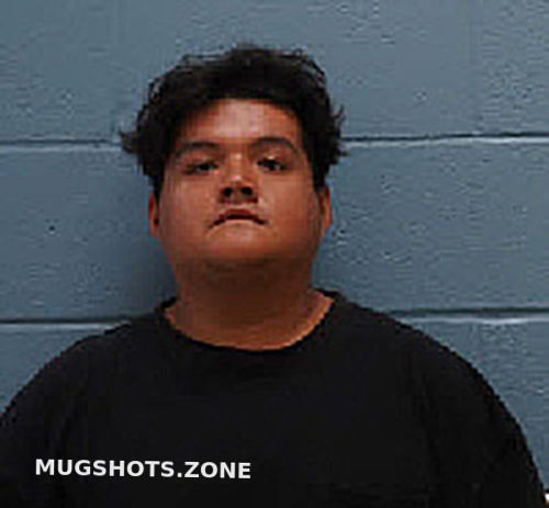 ROLANDO NMN GARCIA 11 08 2022 Lee County Mugshots Zone