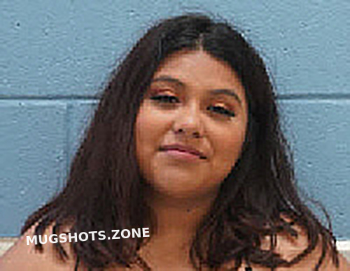 Shelly Alcantara Lee County Mugshots Zone