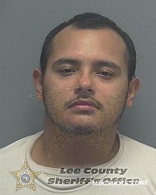 Zamora Michael Joel Lee County Mugshots Zone