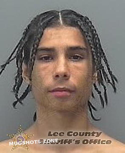 Medina Antony Lee County Mugshots Zone