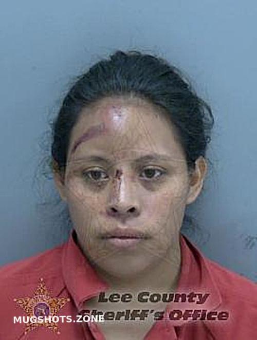 PASCUAL TERESA JOSE 02 17 2024 Lee County Mugshots Zone