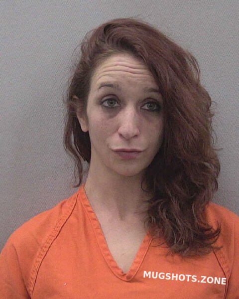 Anderson Deidre Nicole Lexington County Mugshots Zone