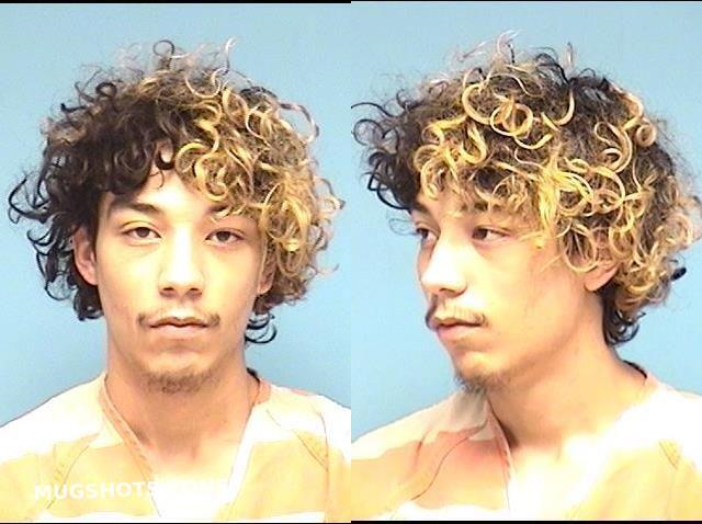 COLON JENNSEN ROBERTO 05 15 2021 Lorain County Mugshots Zone