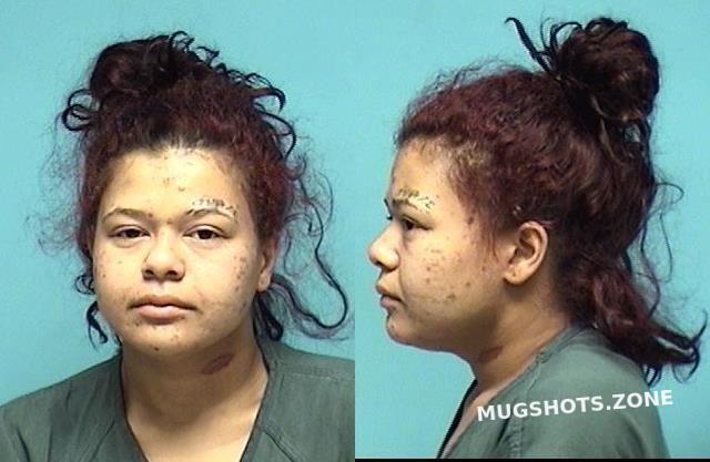 Liston Briana R Lorain County Mugshots Zone