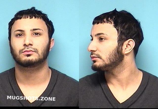 Bauzo Miguel Lorain County Mugshots Zone