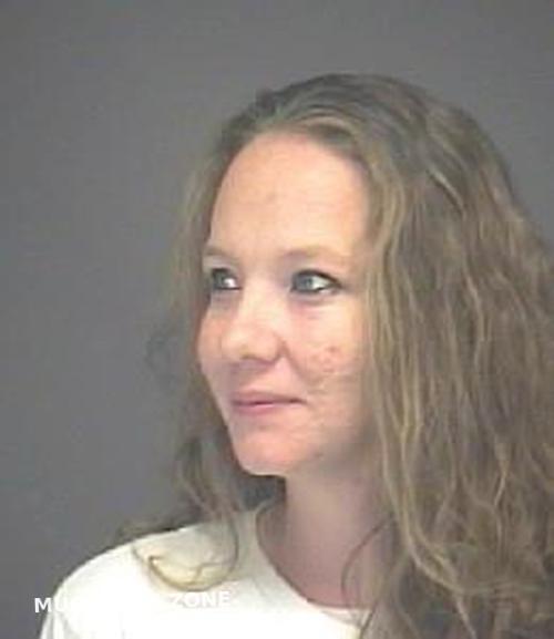 Townsend Julie A Lorain County Mugshots Zone