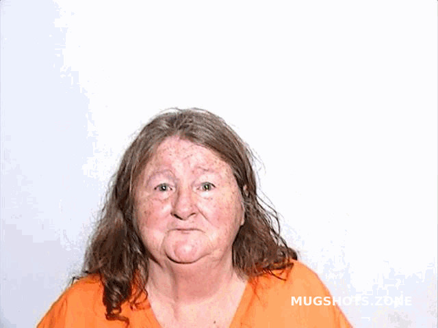 Robinson Bridget Lucas County Mugshots Zone