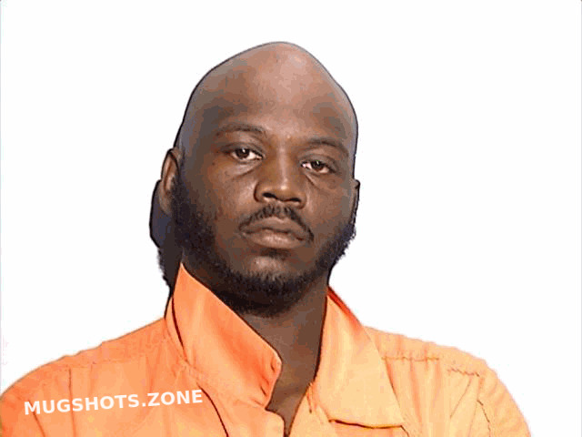 GASTON REID RAVELL 07 22 2023 Lucas County Mugshots Zone