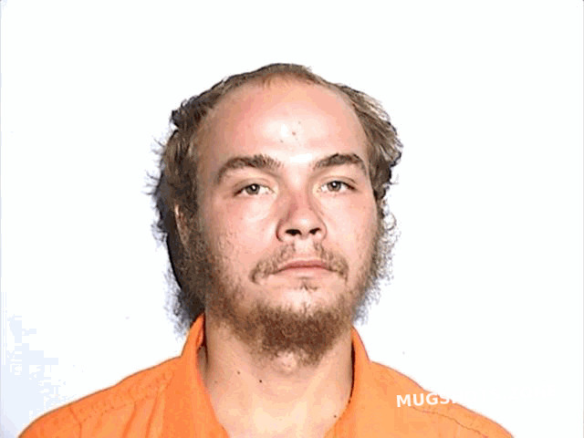 MILLER AARON MATTHEW 10 04 2023 Lucas County Mugshots Zone