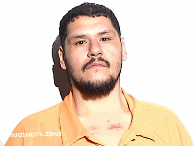 GONZALEZ DANIEL DEMETRIO 11 08 2023 Lucas County Mugshots Zone