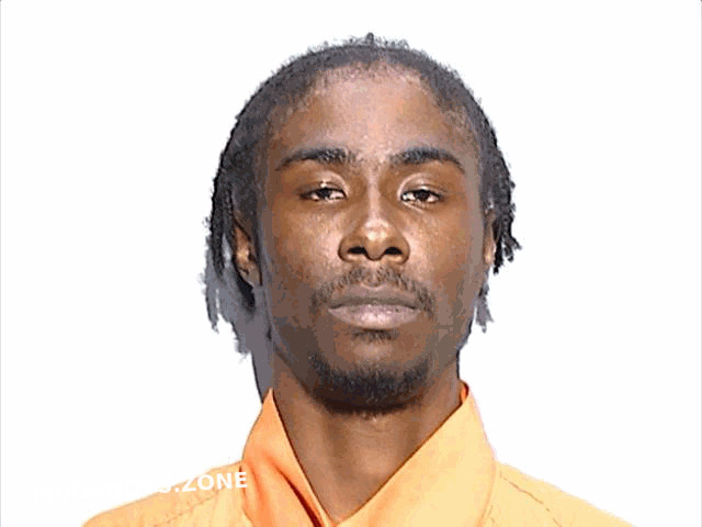 LAWSON MICHAEL AUMDERELL 06 28 2024 Lucas County Mugshots Zone