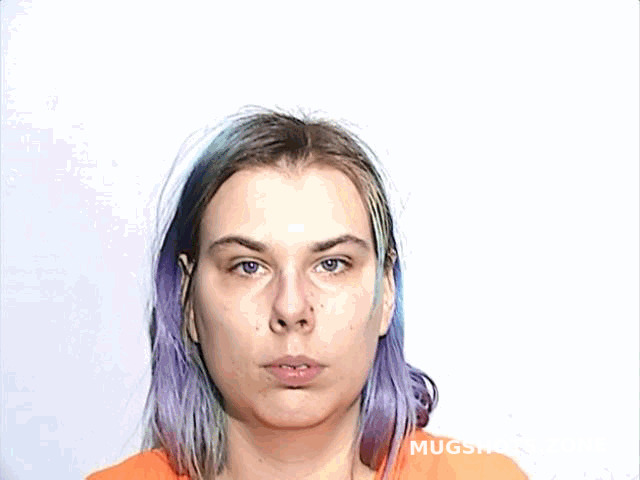 Wolfe Sherri Anne Lucas County Mugshots Zone