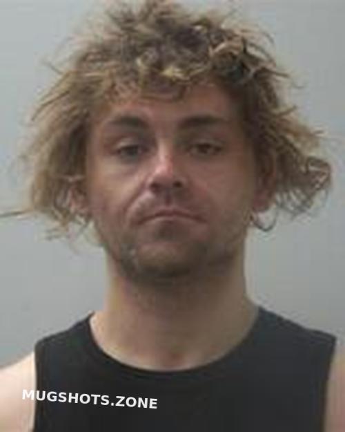 Steven Tyler Muns Madison County Mugshots Zone