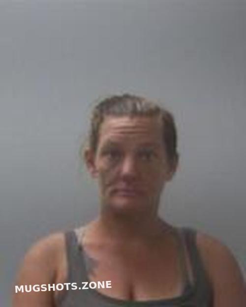 Pamela Dye Madison County Mugshots Zone