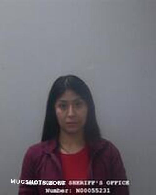 CATIA SOLIS MARTINEZ 02 20 2024 Madison County Mugshots Zone