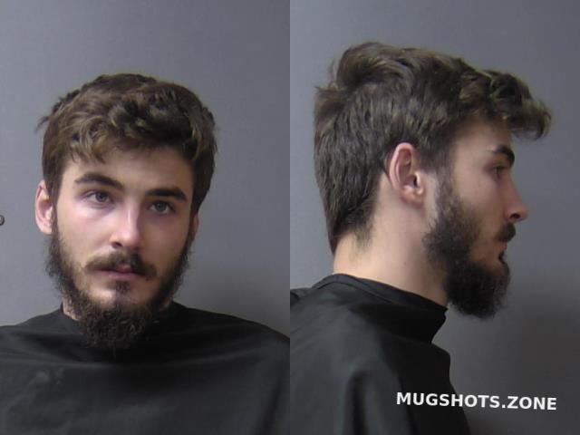 Webb Seth Michael Madison County Mugshots Zone