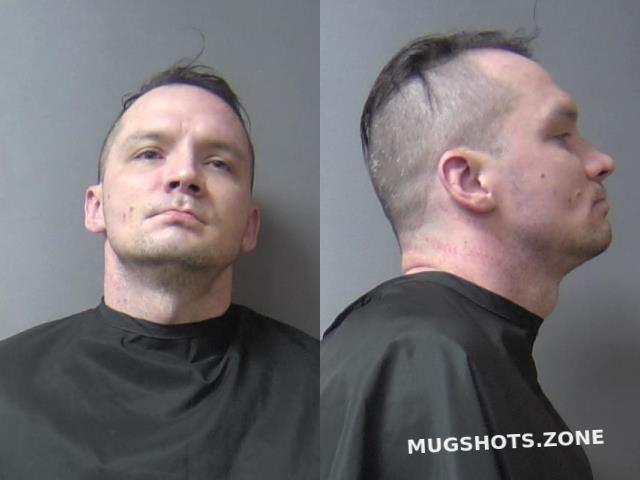 SULLIVAN TRAVIS KANE 01 28 2024 Madison County Mugshots Zone