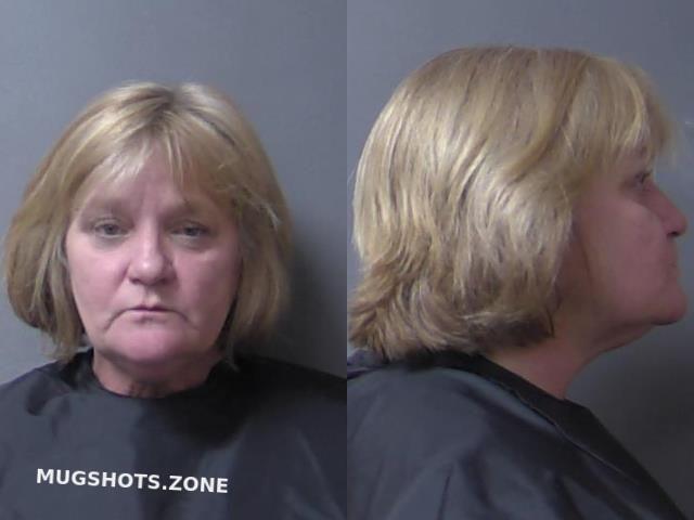 ALLEY PAMELA ADELINE 03 22 2024 Madison County Mugshots Zone