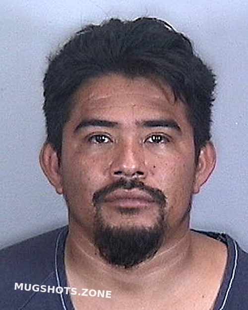 ALEJANDRO ALCUDIA BENITO 05 21 2021 Manatee County Mugshots Zone