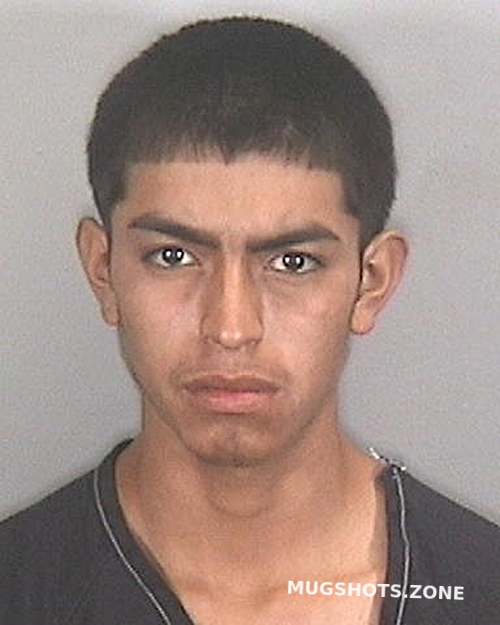 Aldavera Jose Manatee County Mugshots Zone