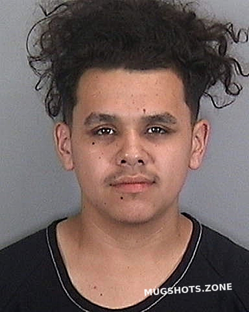 Corona Alfredo B Manatee County Mugshots Zone