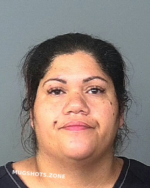 Hernandez Sheree Manatee County Mugshots Zone