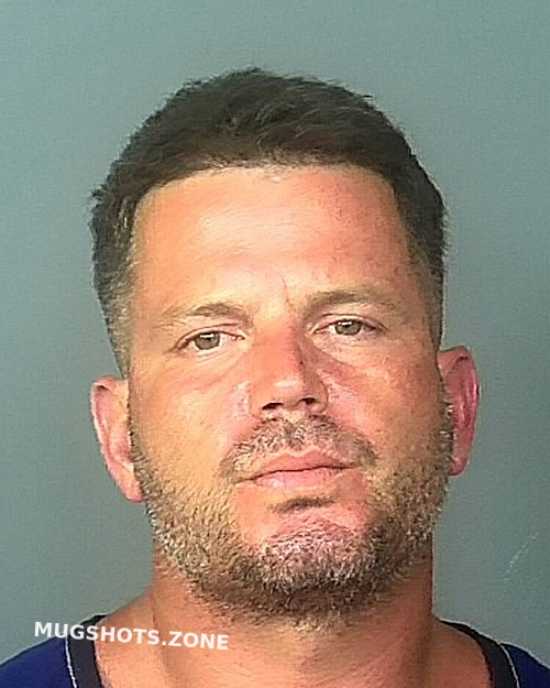 Domenech Moliere William Manatee County Mugshots Zone