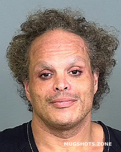 Toro Ricardo Manatee County Mugshots Zone