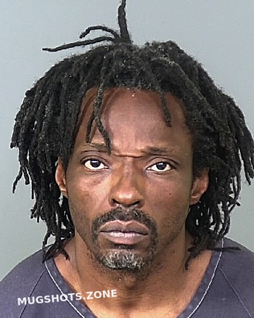 Hetmeyer Walt Manatee County Mugshots Zone