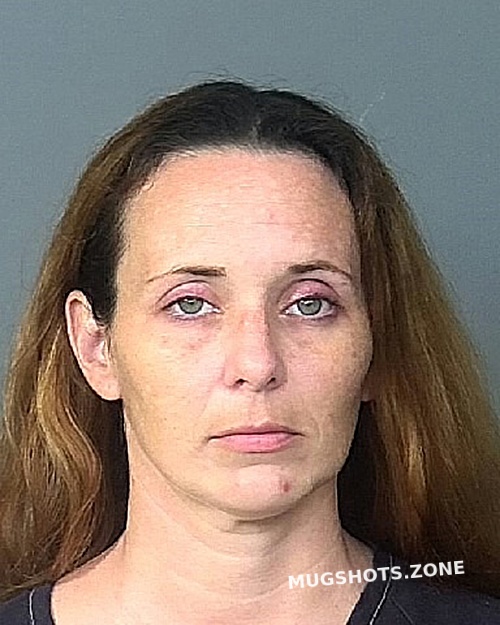 Rudrud Brandi K Manatee County Mugshots Zone