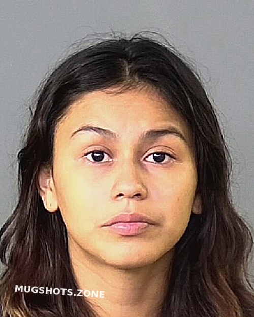 TZAQUITZAL OROZCO CAROLINA 11 13 2022 Manatee County Mugshots Zone