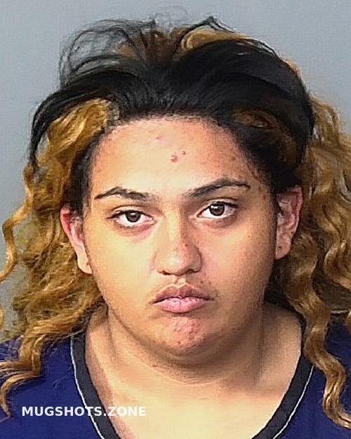 Garza Alexis R Manatee County Mugshots Zone