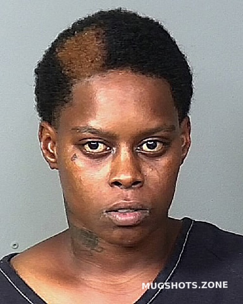 RICHARDSON KIMBERLY A 12 17 2022 Manatee County Mugshots Zone