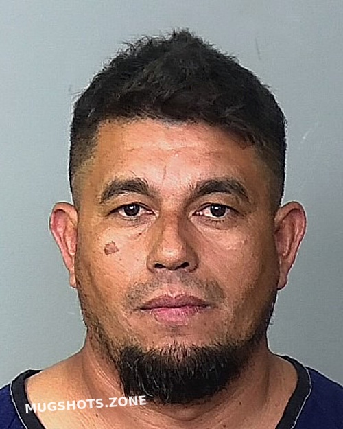 Castro Mendoza Rigoberto Manatee County Mugshots Zone