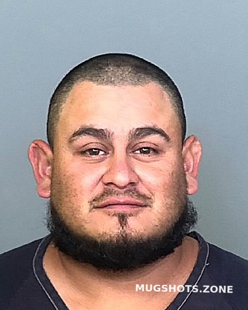 Cabrera Selvin Manatee County Mugshots Zone