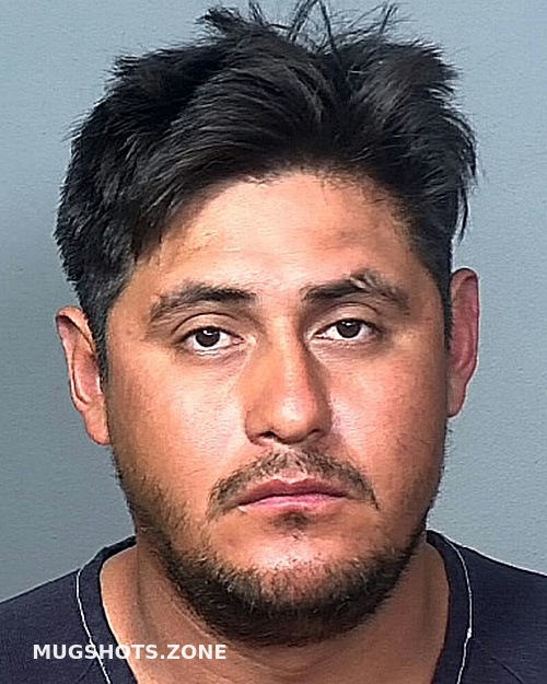 REYES GUZMAN LUIS FERNANDO 02 18 2023 Manatee County Mugshots Zone