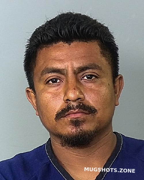 Flores Ramirez Ivan Manatee County Mugshots Zone