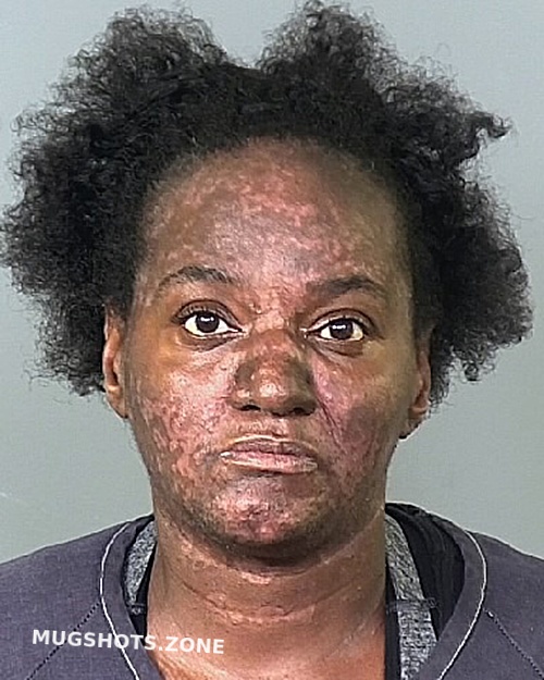 JOHNSON DEBRA A 04 06 2023 Manatee County Mugshots Zone