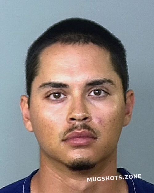 Coronado Miguel A Manatee County Mugshots Zone