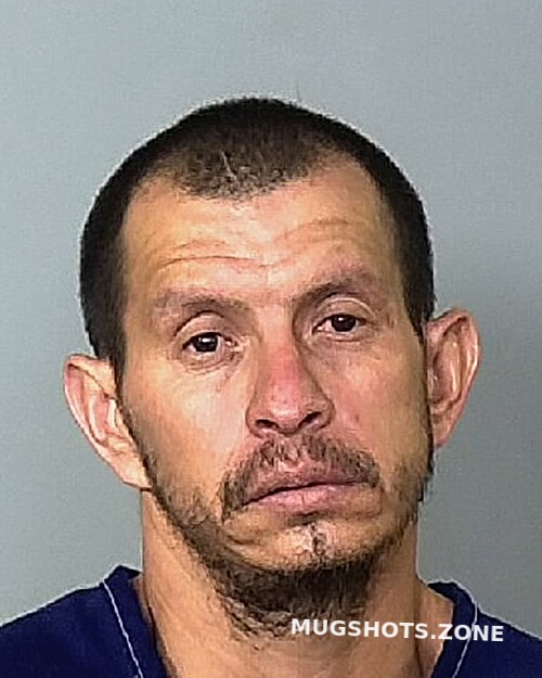 Cisneros Eliazar Manatee County Mugshots Zone